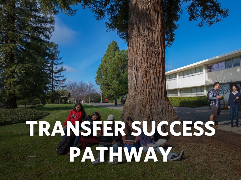 Transfer Success Pathway