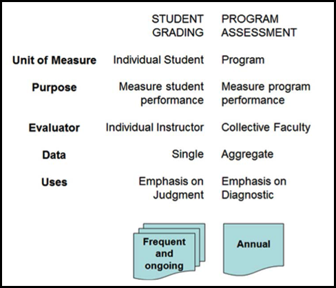 program assessment