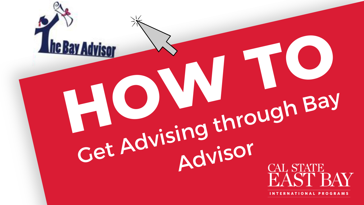 How to Get Advising through Bay Advisor