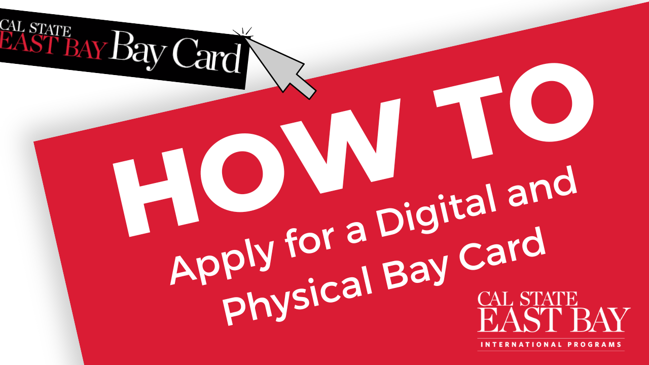 How to get your BayCard