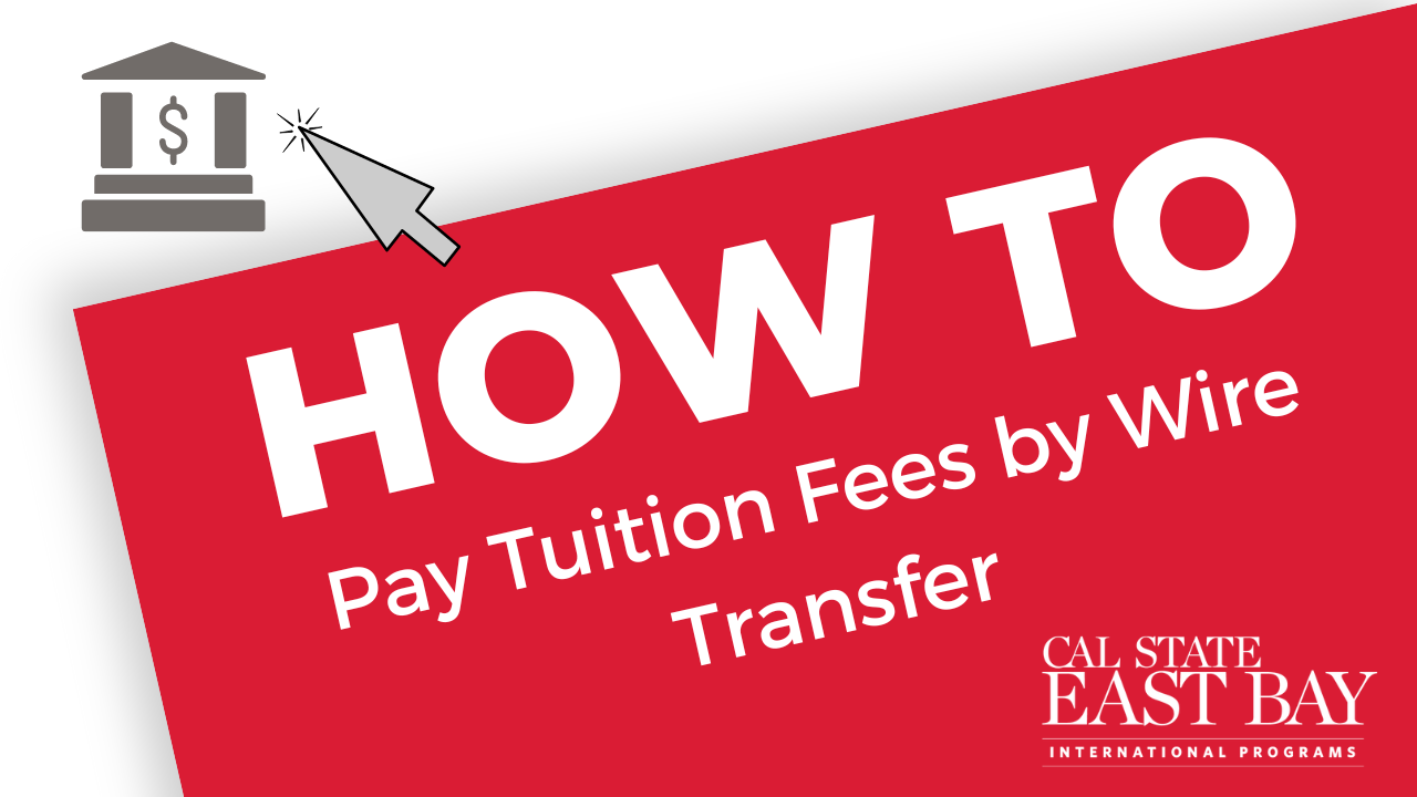 How to Pay Fees by Wire Transfer