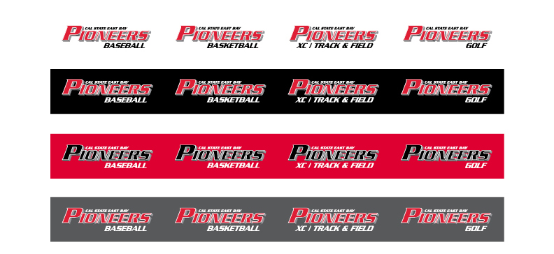Pioneers team logos
