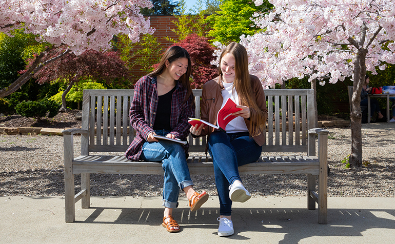 Two students work together on bench in Japanese garden