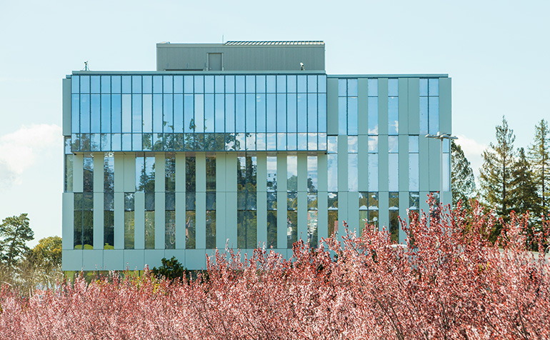 Student Administration building with cherry blossoms in bloom in front