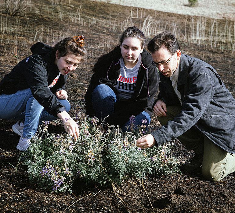 wildfires-plants.jpg