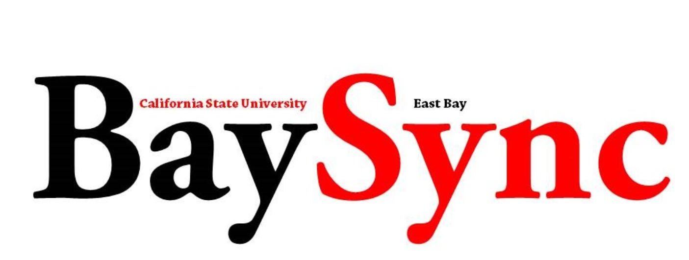 Baysync Logo