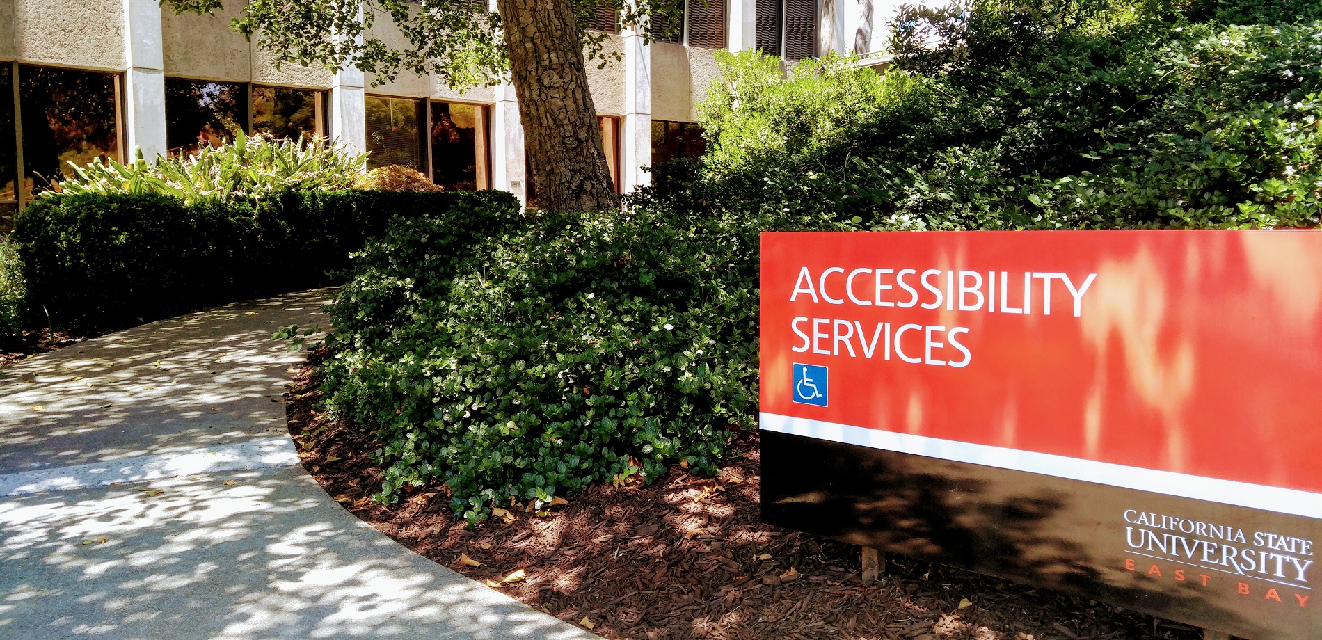 Welcome to Accessibility Services