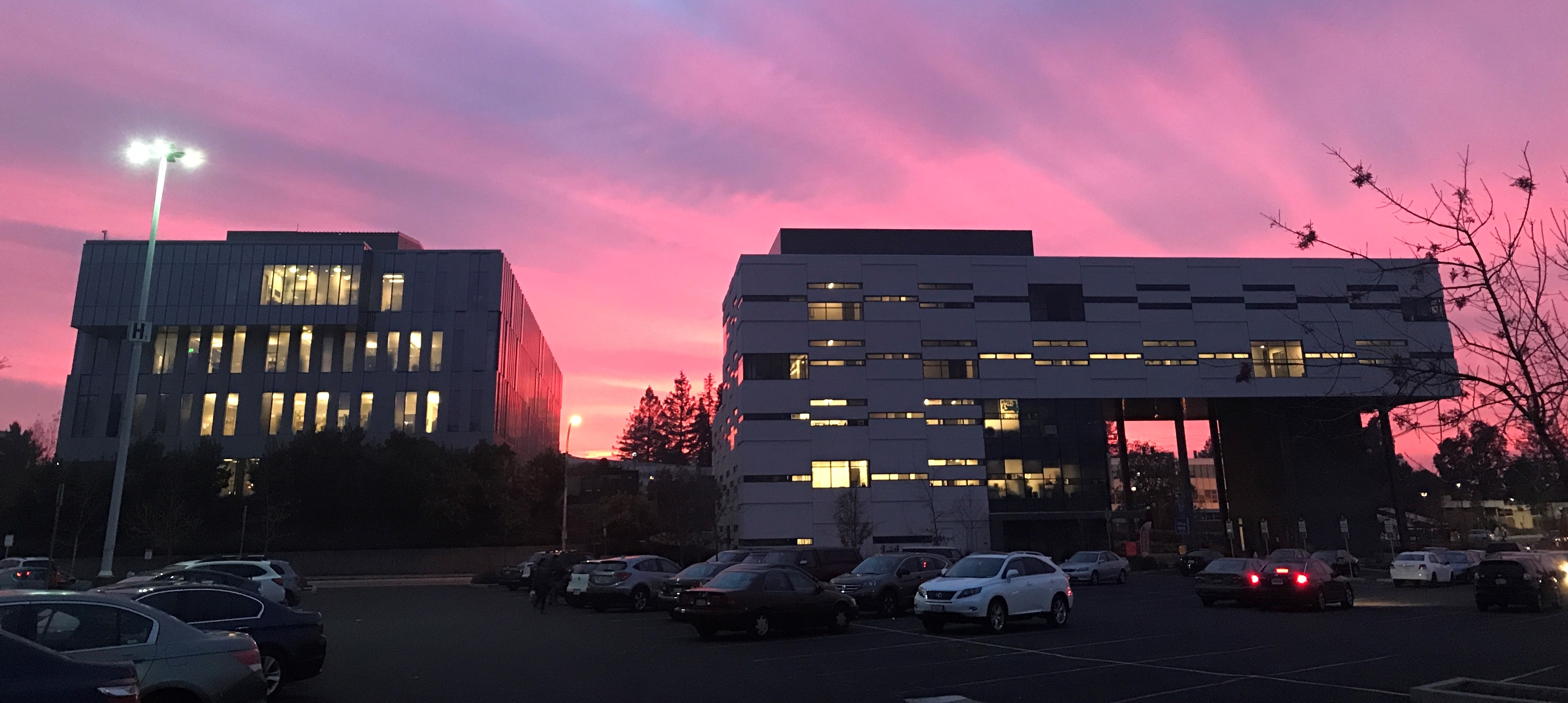 Sunset on SF Building