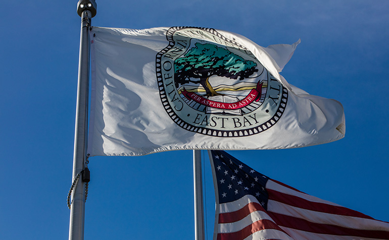 CSUEB Flag