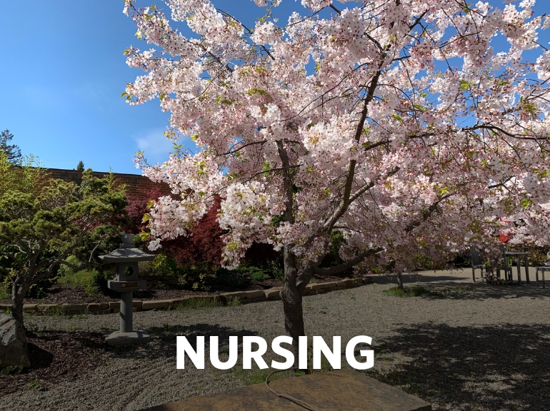 Nursing