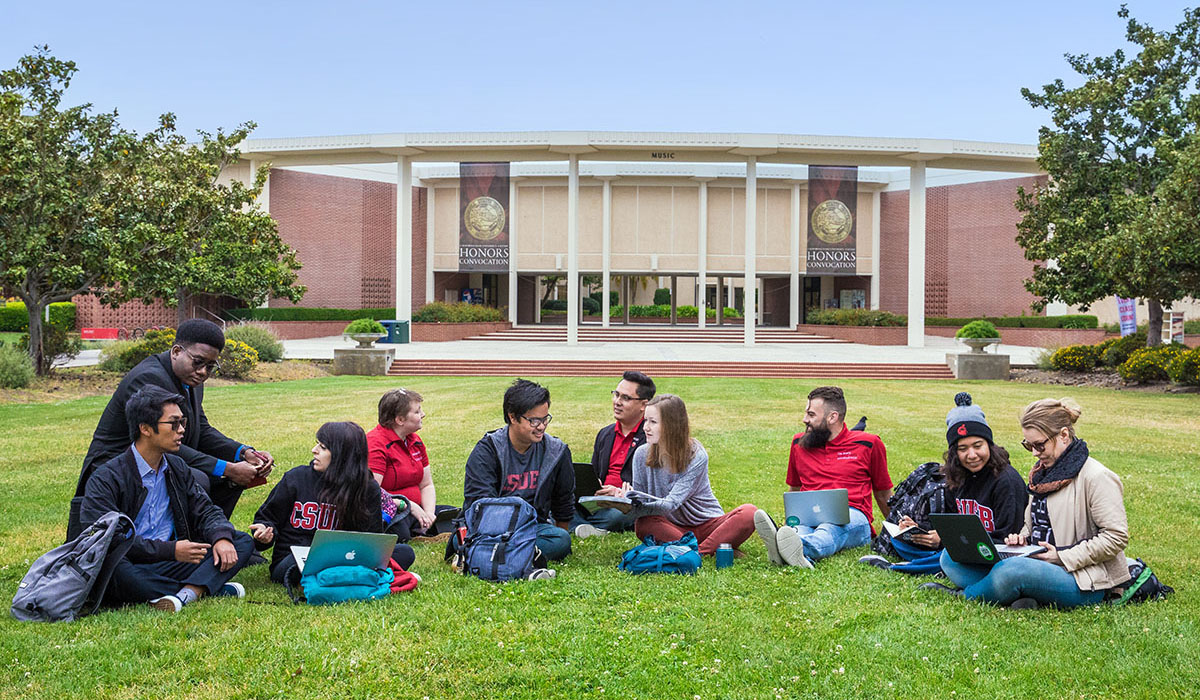 Students studying outdoors on lawn