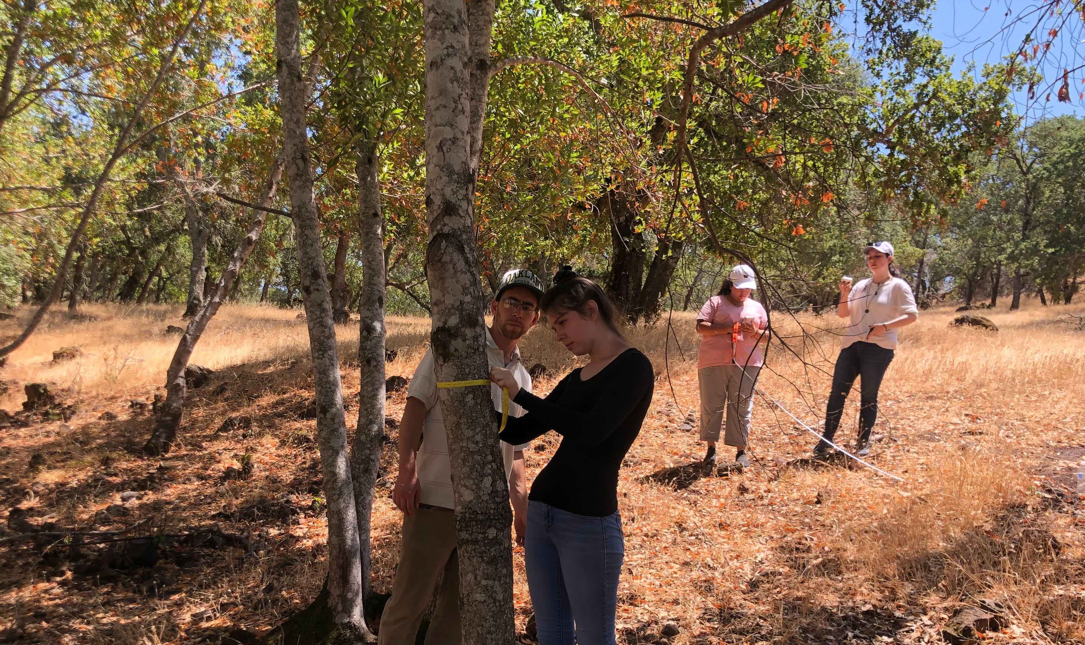 Indigenous Foodways Research at Bouverie Preserve