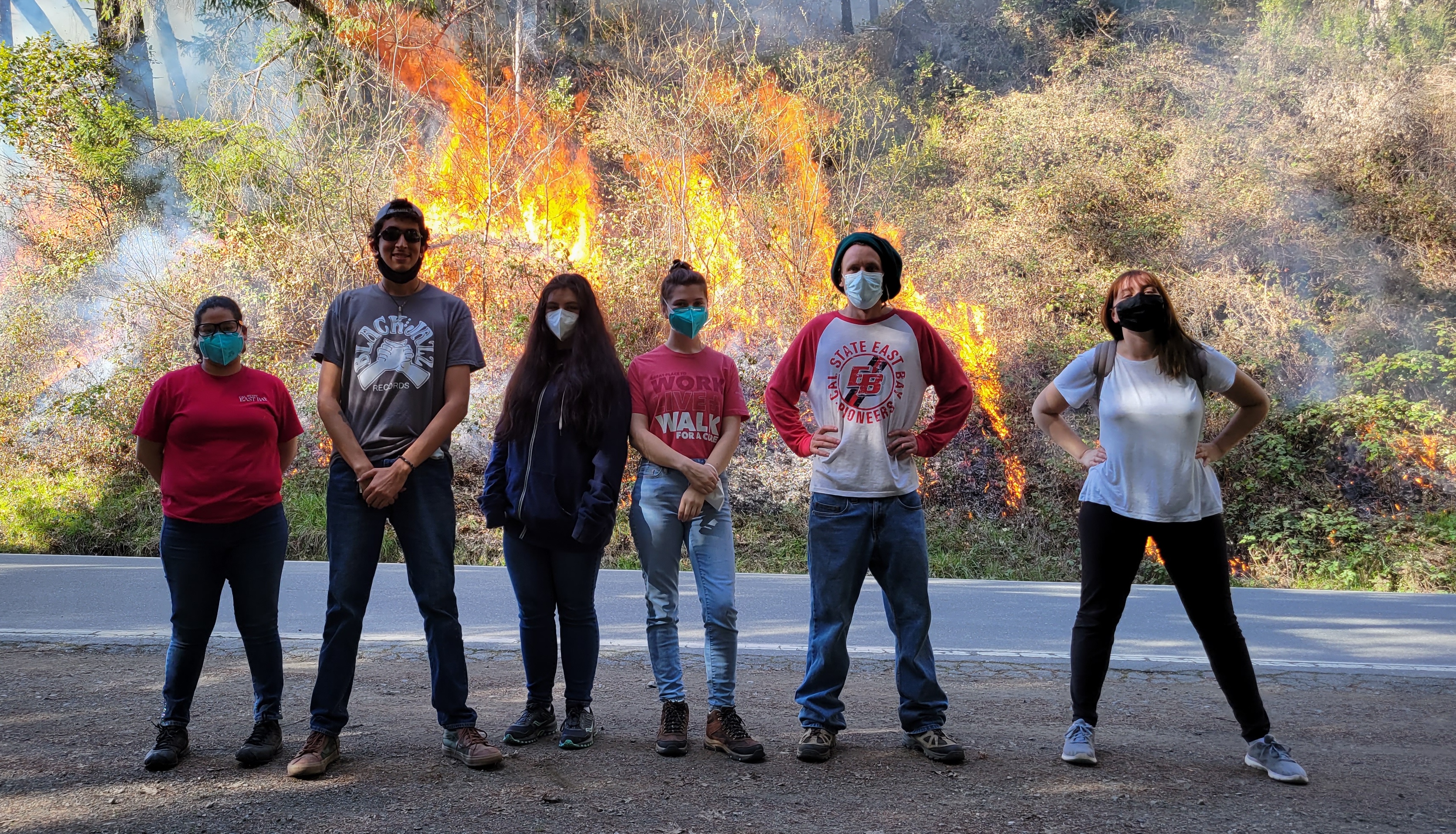 Indigenous Fire Research