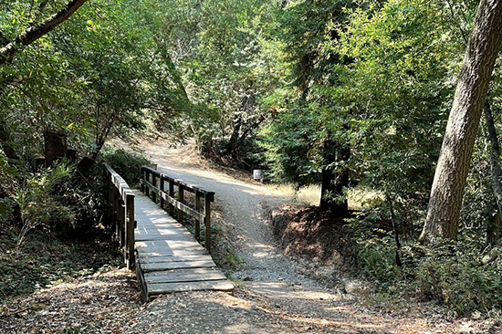 East Ave trail and bridge