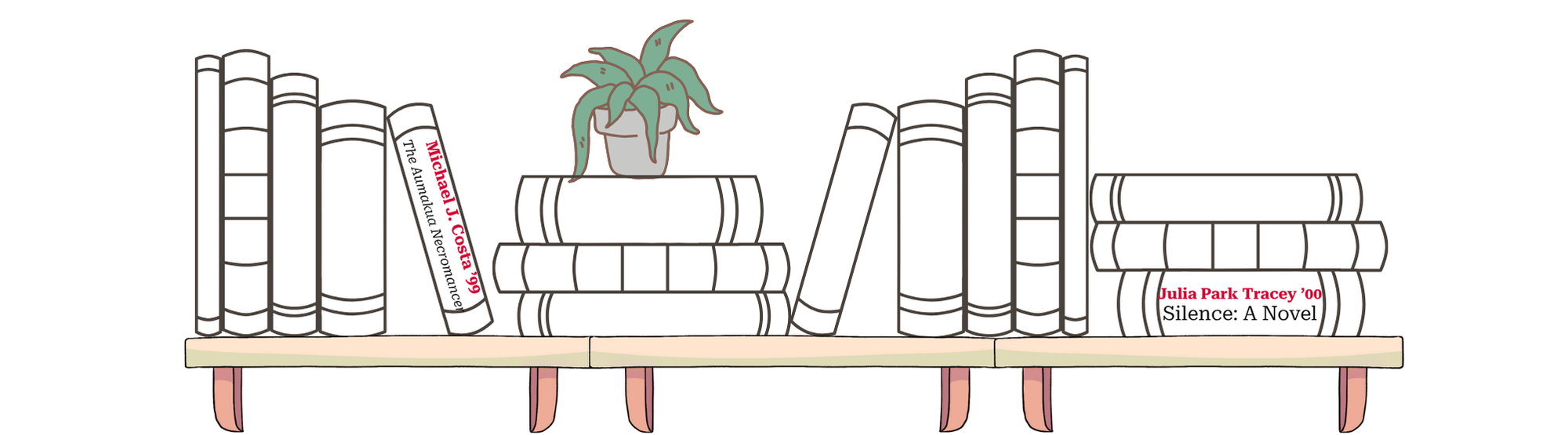 A graphic bookshelf with a small potted plant