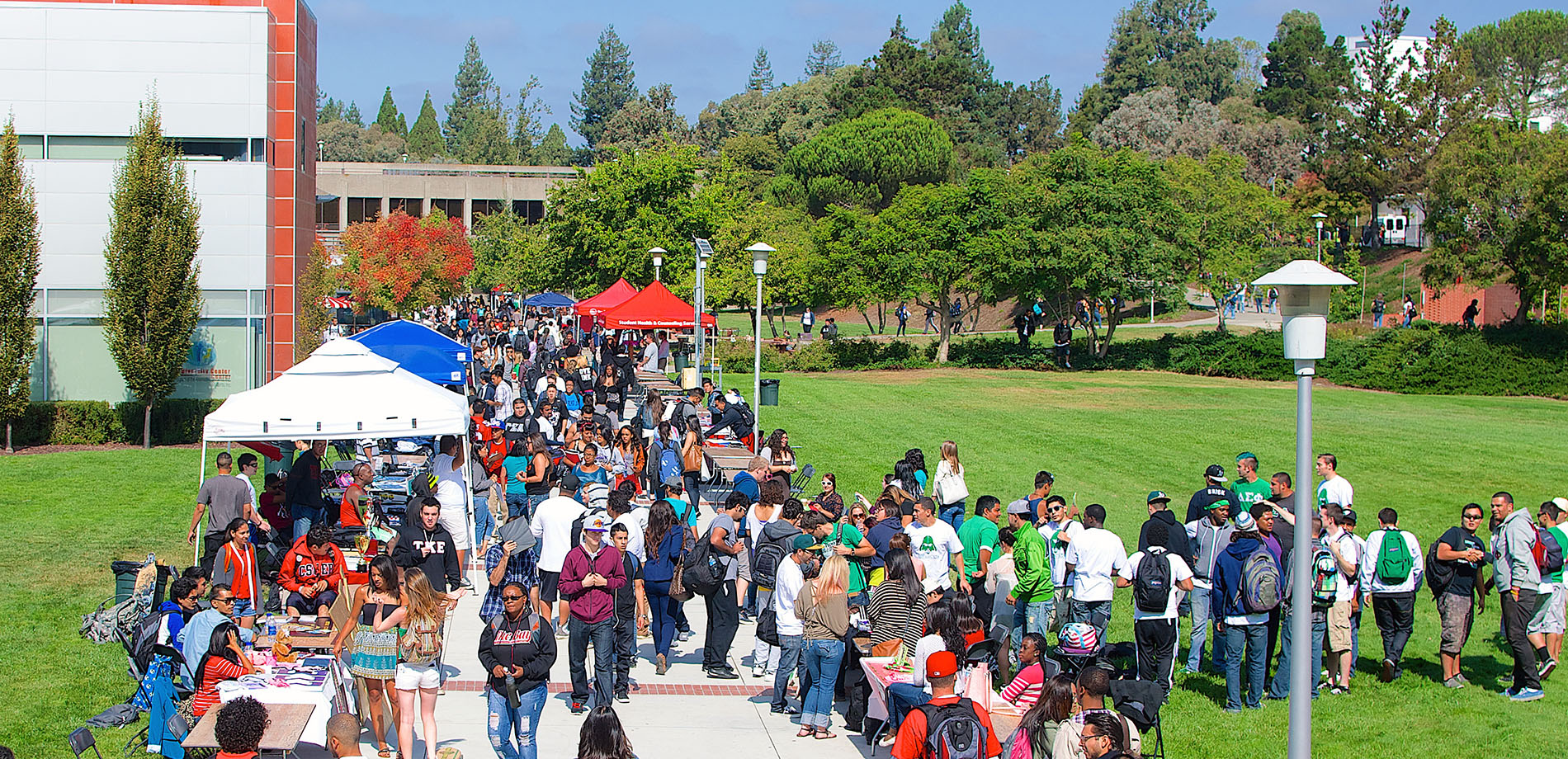 Students at information fair