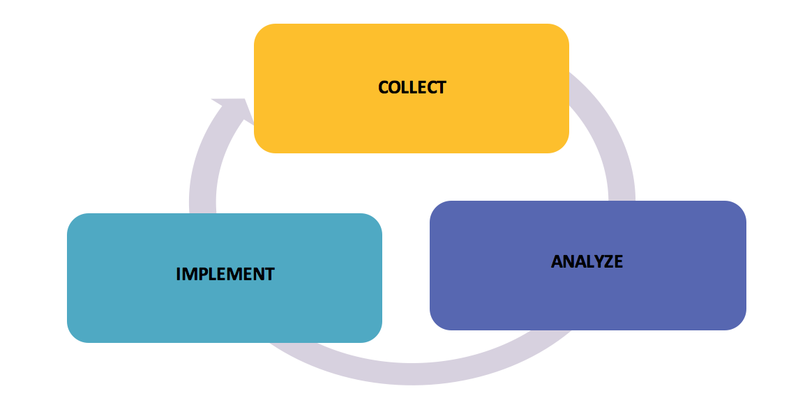 Assessment Cycle