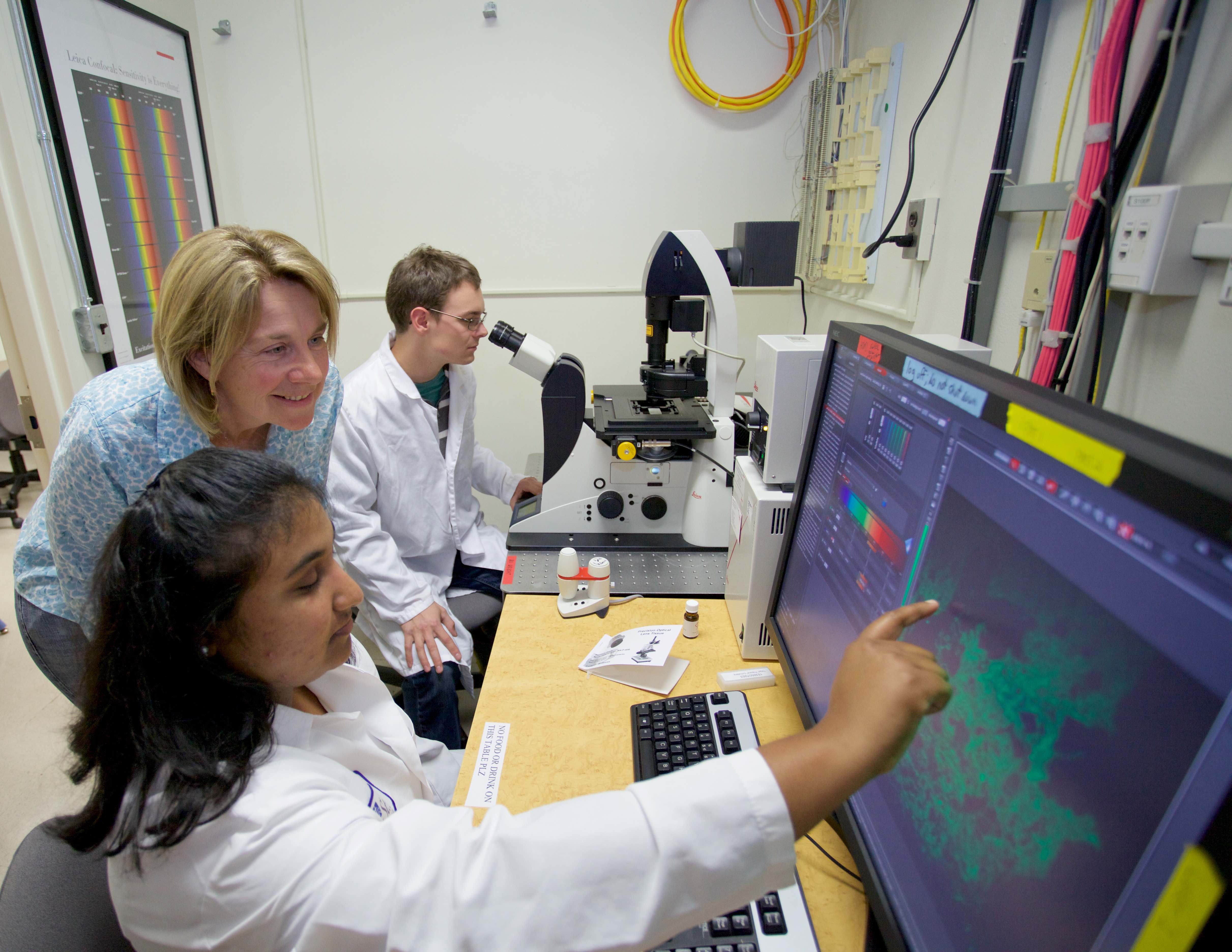 CSUEB Scientists looking at data