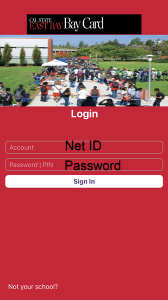 csueb baycard csueb baycard