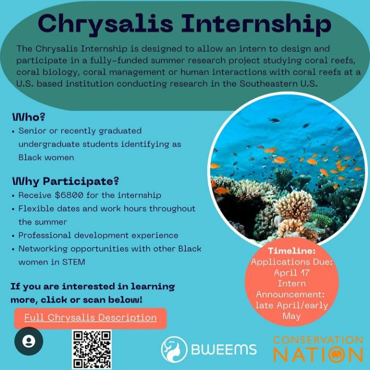 chrysalis-internship