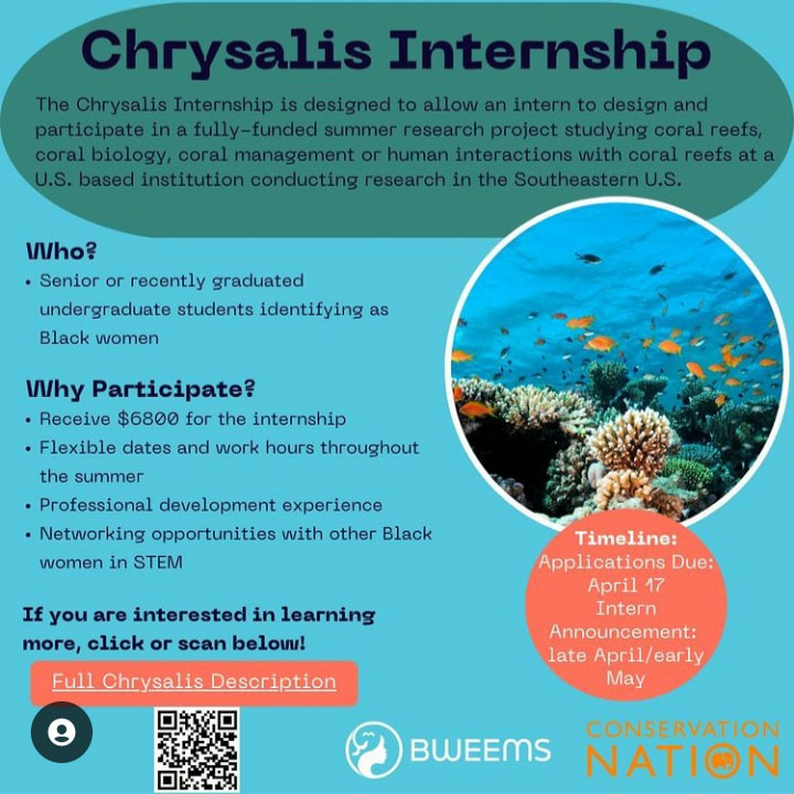 internshipopportunities