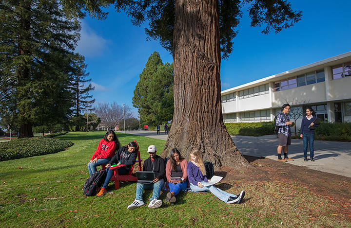 Students studying and collaborating under a large tree on campus, with a modern building in the background.