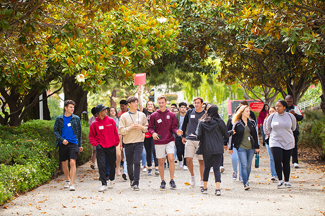 A diverse group of students walking together along a tree-lined pathway on campus.