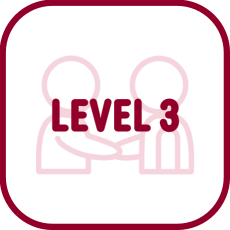 Level 3