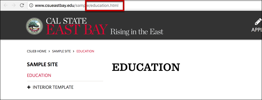 url showing education