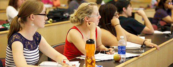 Students sitting in lecture