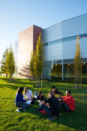 A group of about seven students sitting on the grass in front of a building. They are in a circle and appear to be engaged in a discussion.