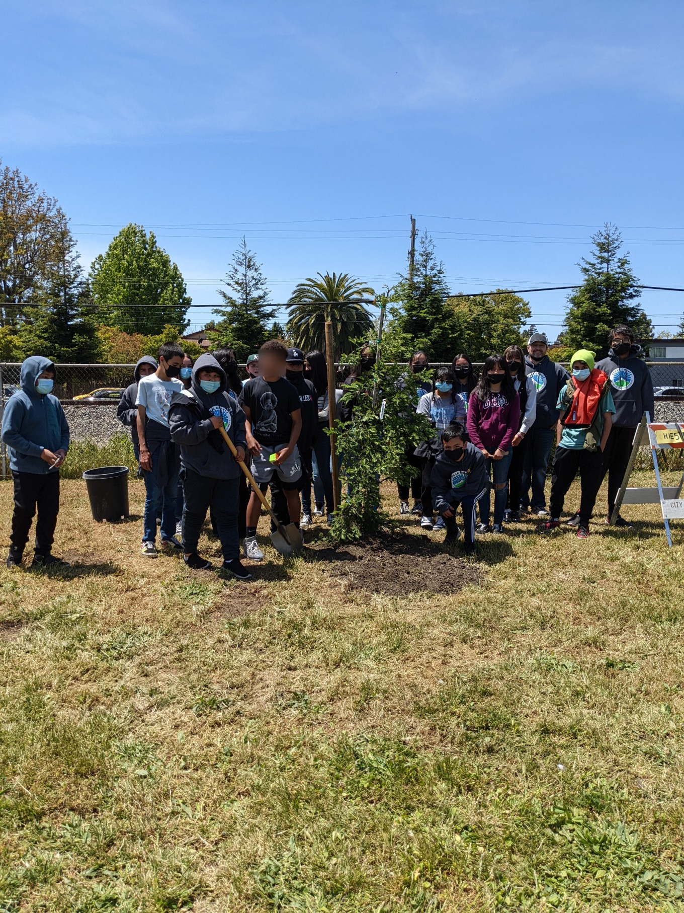 Students plant a tree.