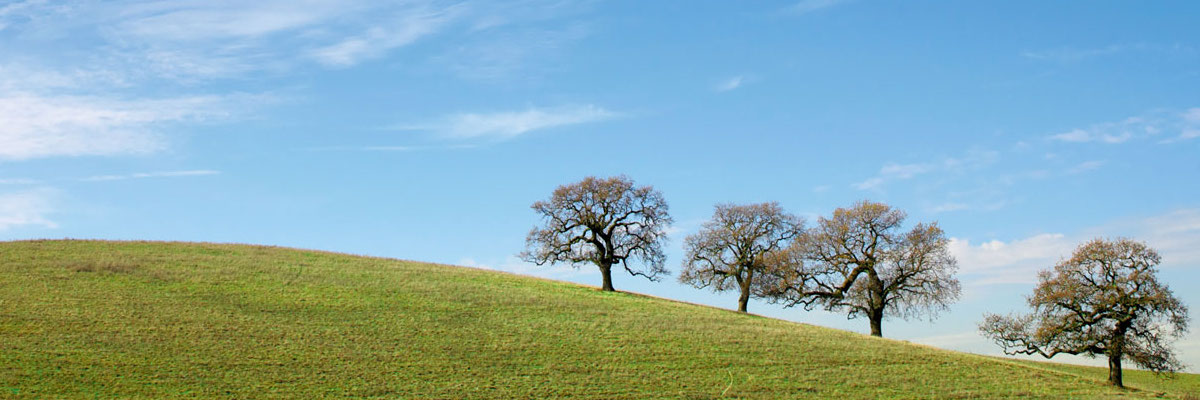 East Bay campus landscape