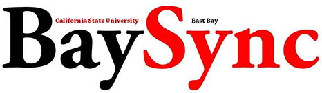 bay sync logo