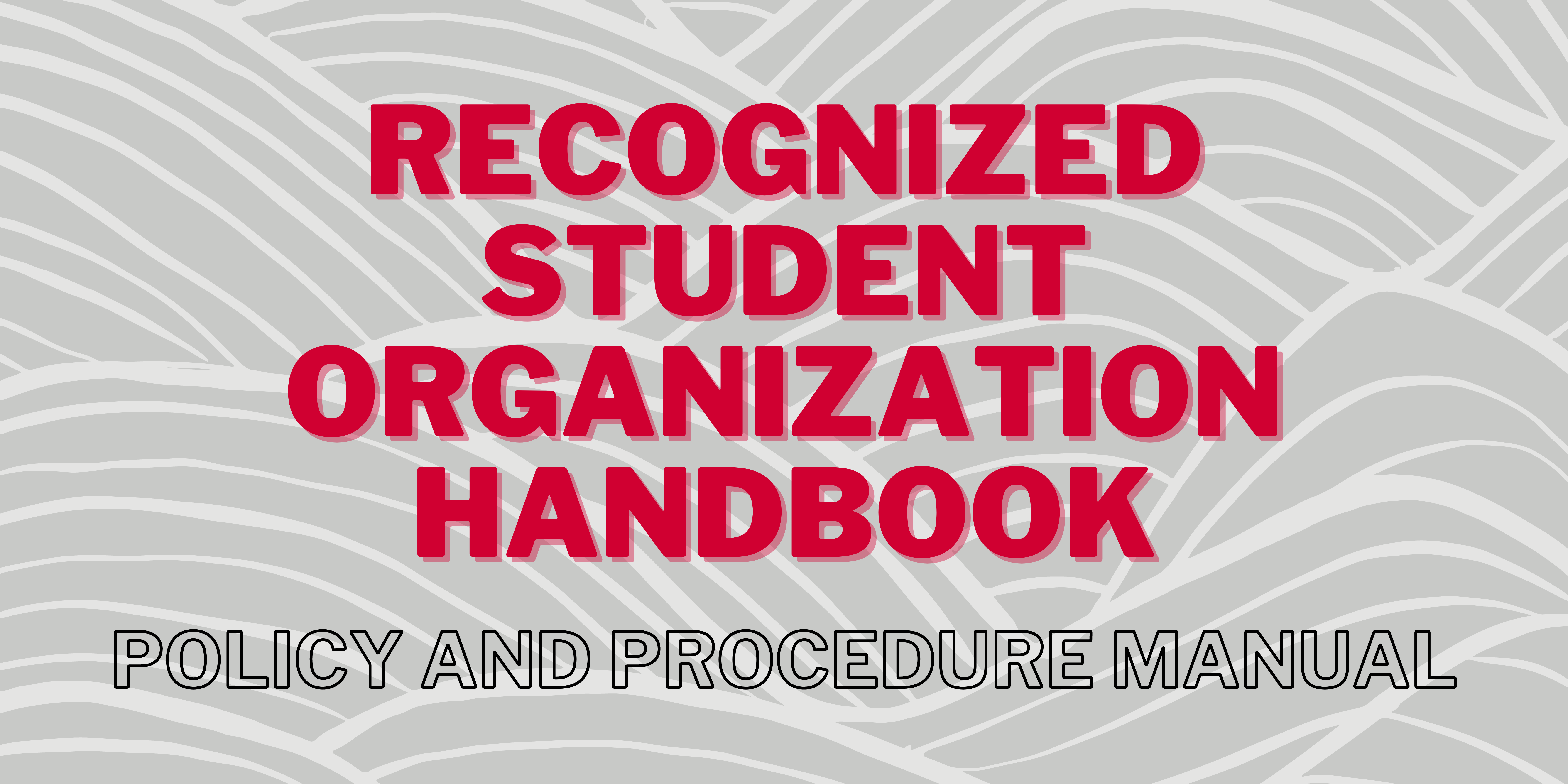  SLIC RSO Handbook