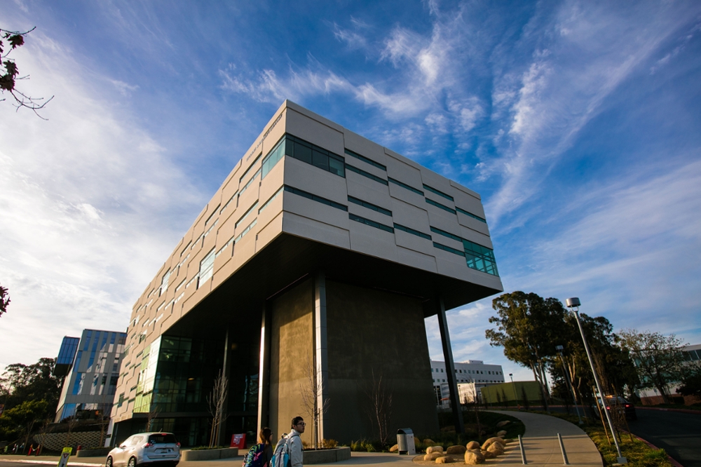 College of Health Advising