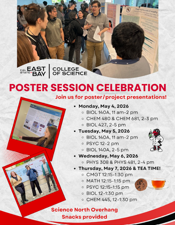 poster session poster