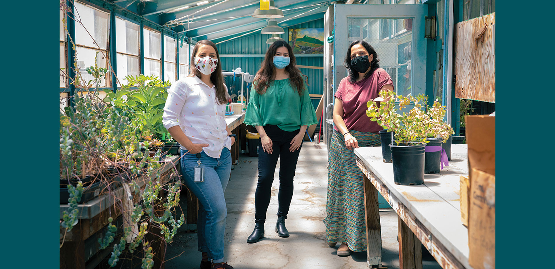 Three women stand in greenhouse