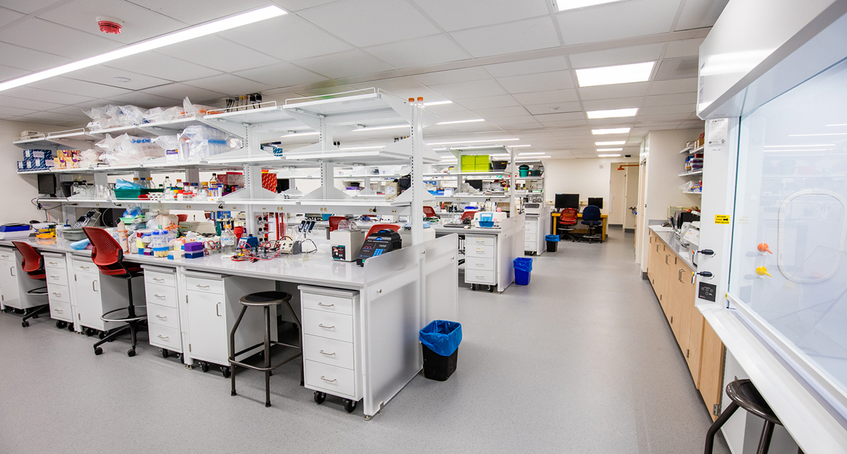 Large clean science lab space
