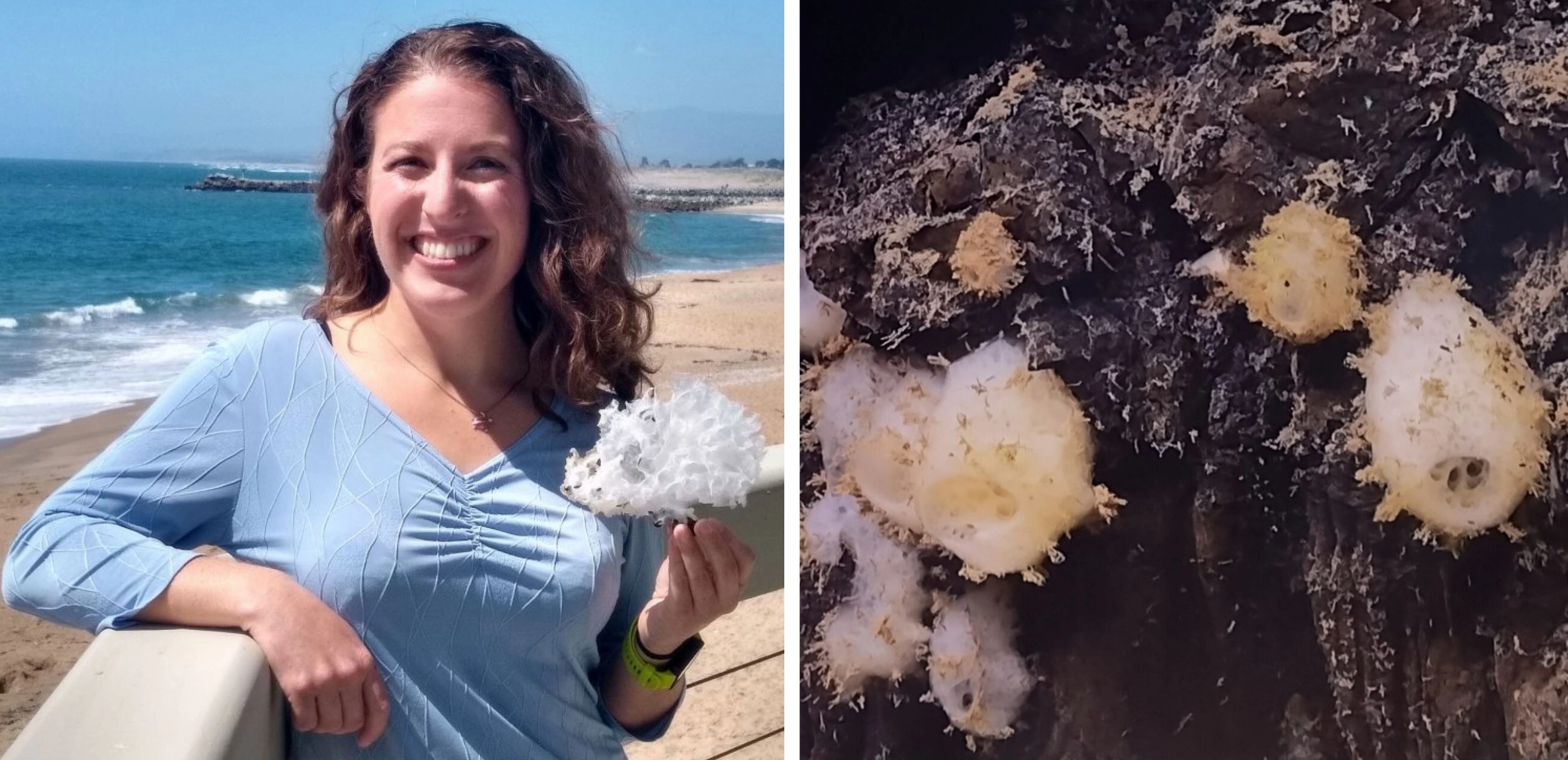 Amanda Kahn, B.S. Biological Sciences and B.A. Chemistry