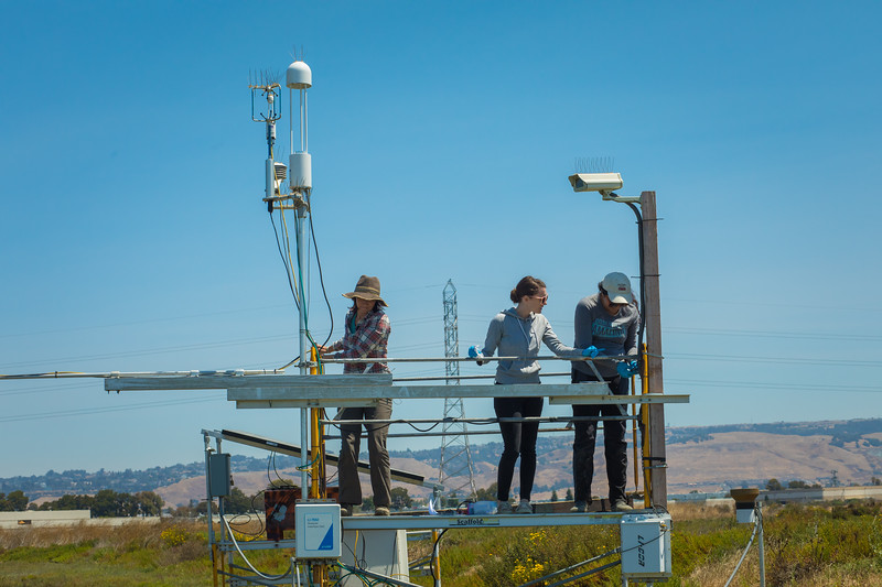 Cal State East Bay Professor Patty Oikawa and students out in the field