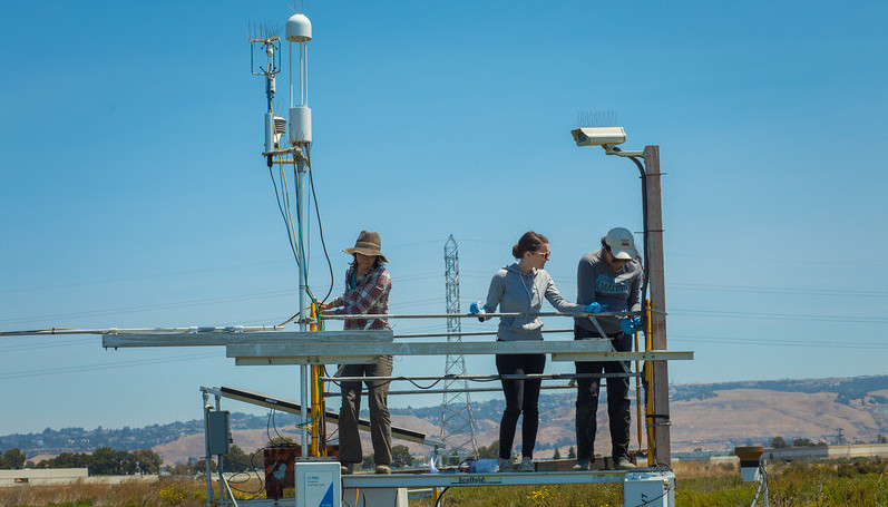 researchers in a field station outside