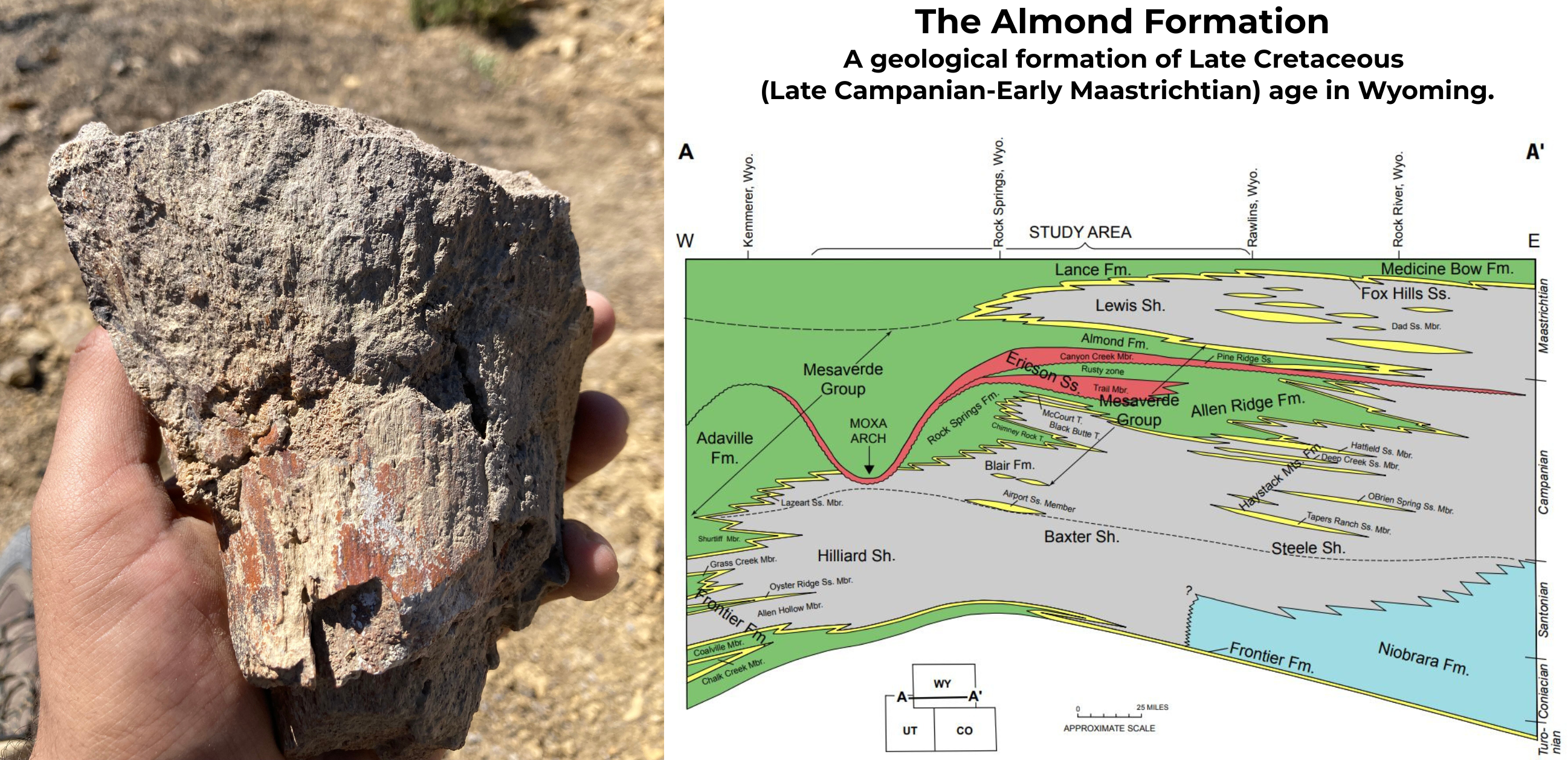 Photo of dinosaur find and site area explanation.