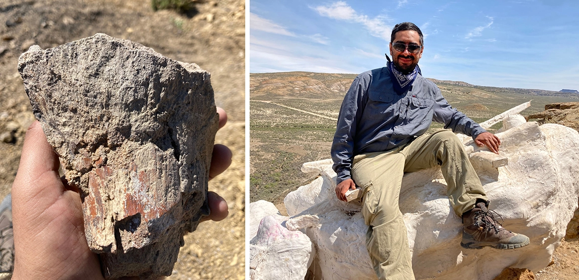 Photo of dinosaur find and site area explanation.