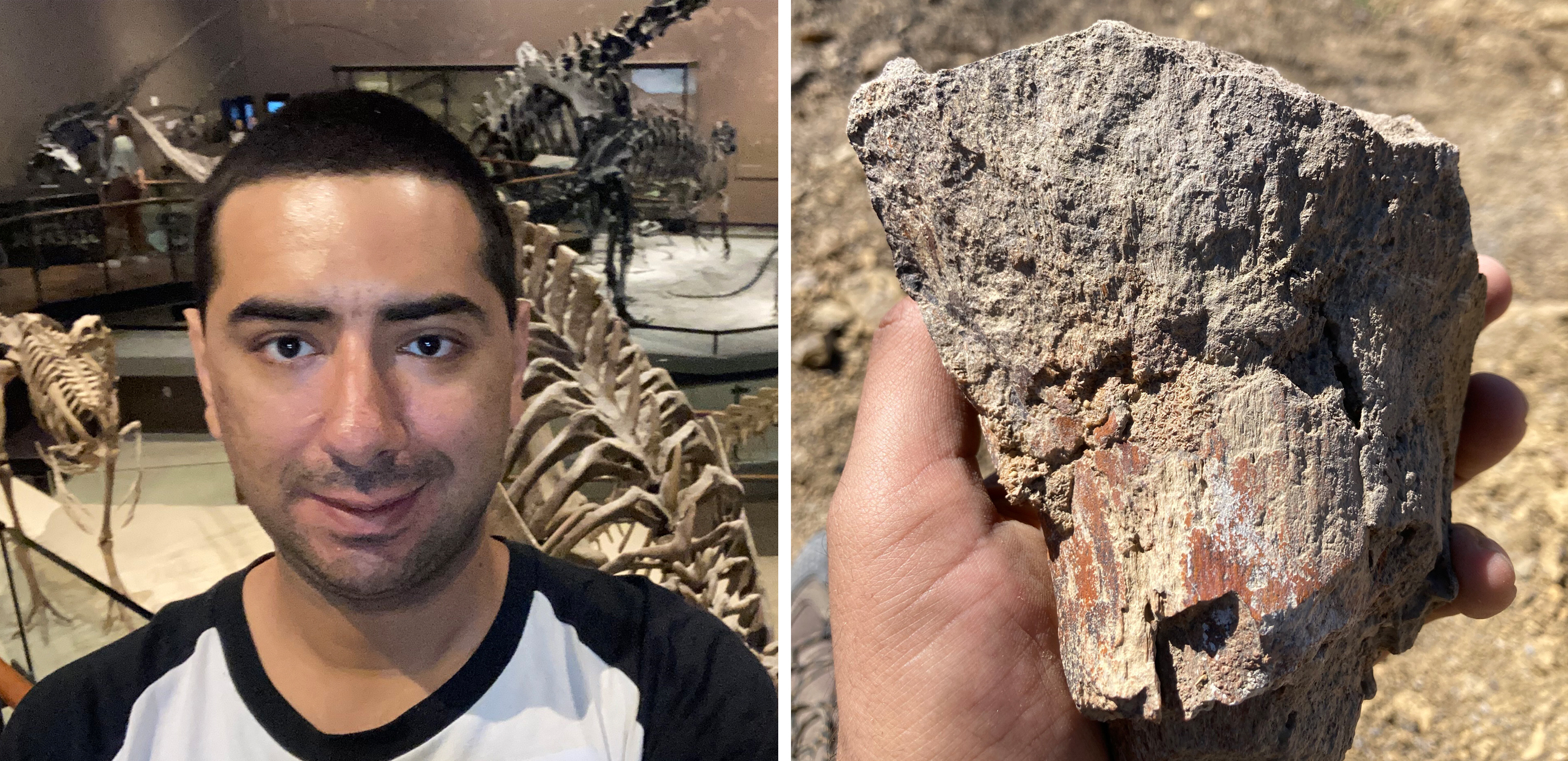 Trinidad Cruz with dinosaurs in museum and Trinidads dinosaur find at the dig site.