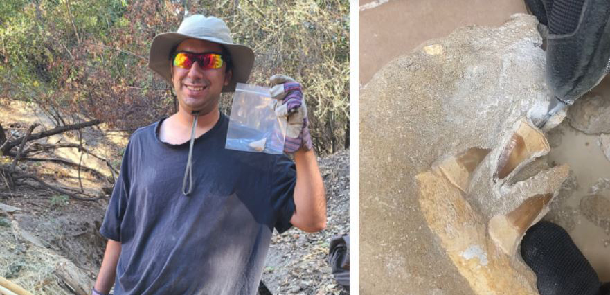 Trinidad Cruz holding fossil find.