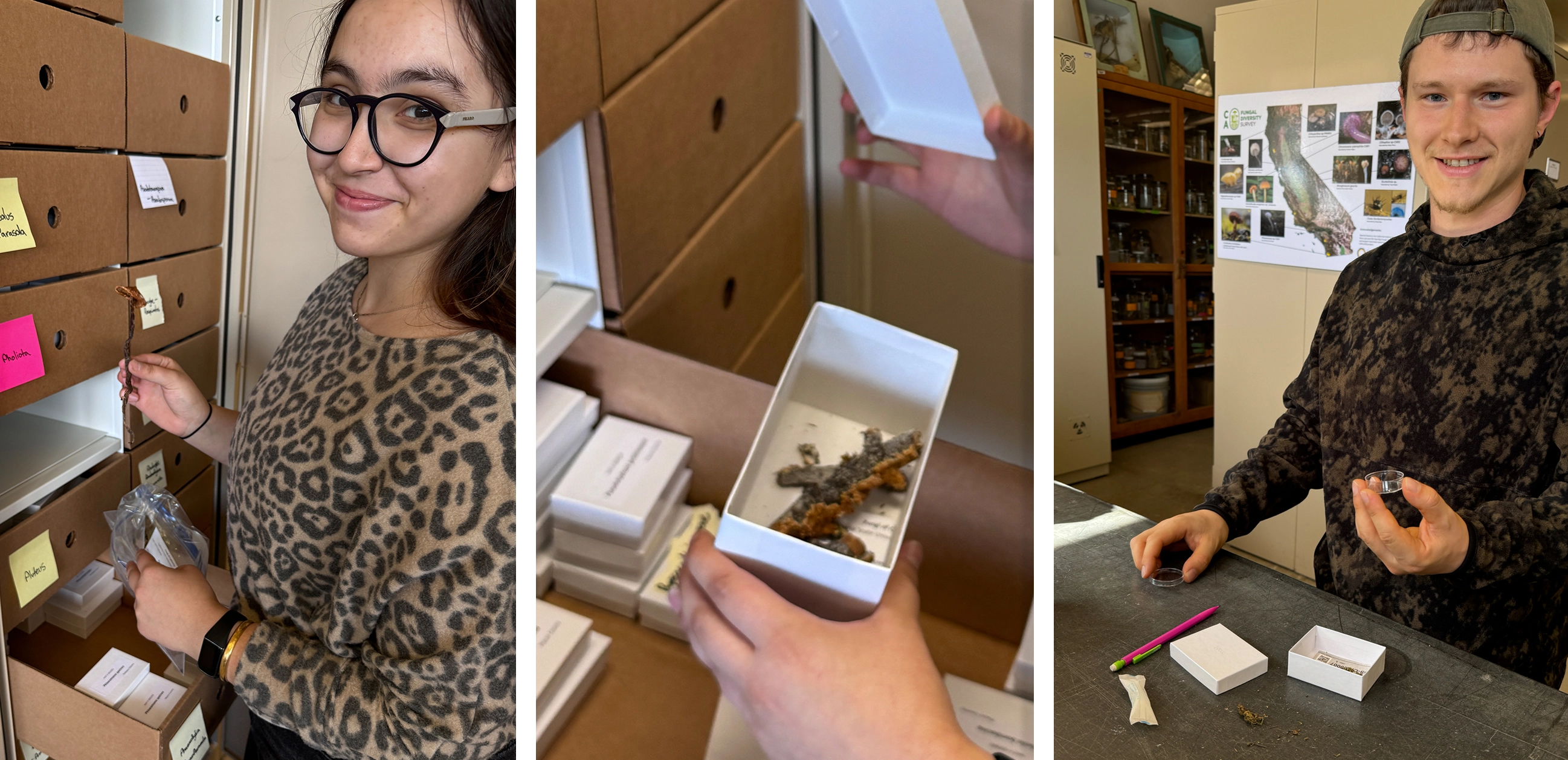 Summer Bridge students sitting on bleachers smiling.