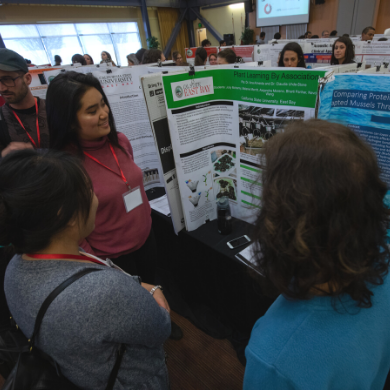 Students talking while looking at a scientific poster