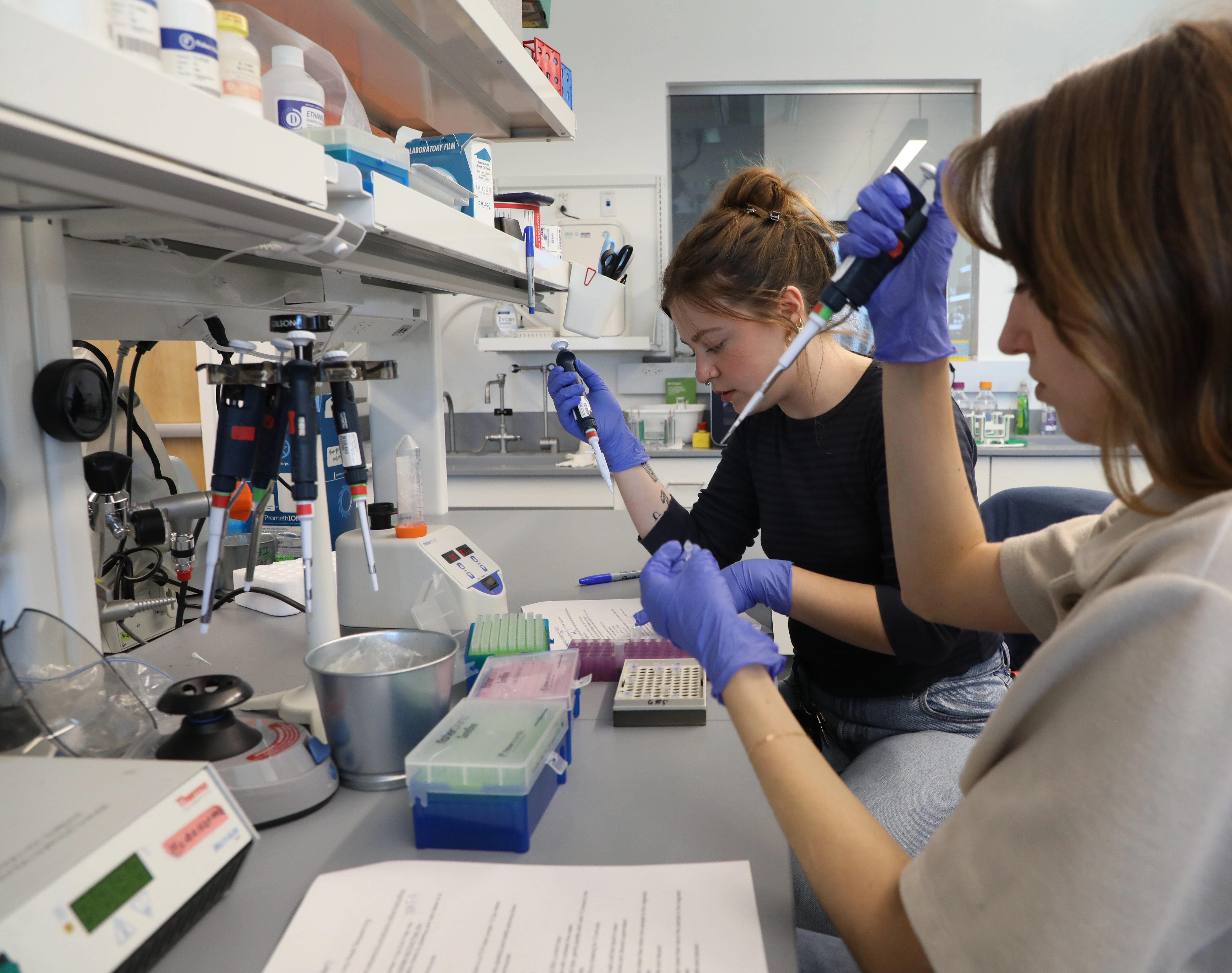 two students working with enzymes