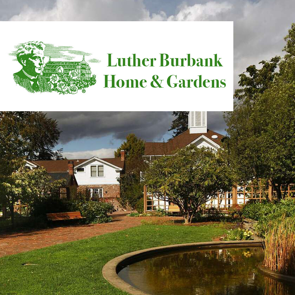  Luther Burbank Gardens